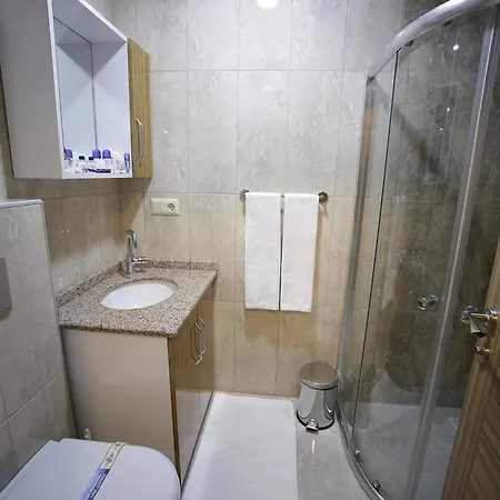 Apartment Vip
