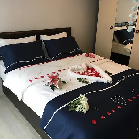 Apartment Vip