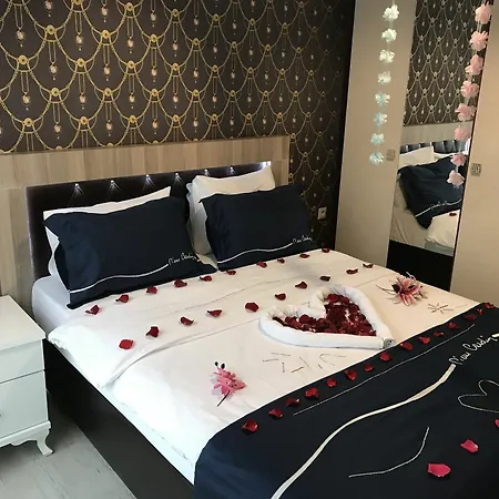 Apartment Vip