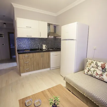 Apartment Vip